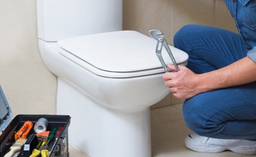 Cassette scarico WC